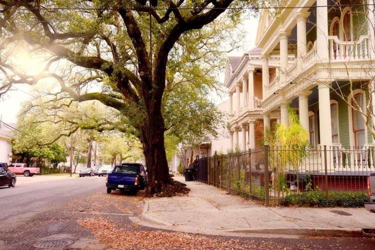 seeing the garden district is a fun thing to do in new orleans