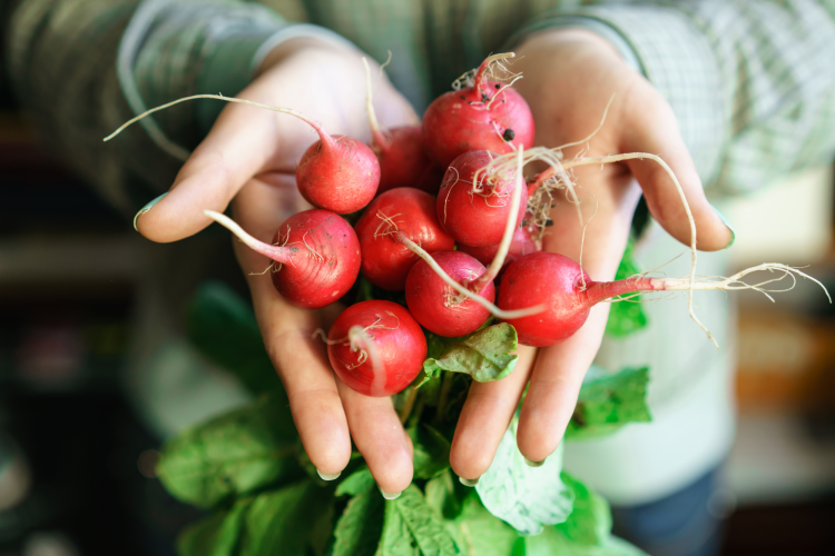 start a garden for national nutrition month