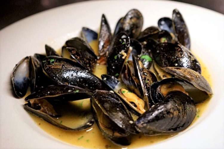 steamed mussels at giacomo's in little italy, boston