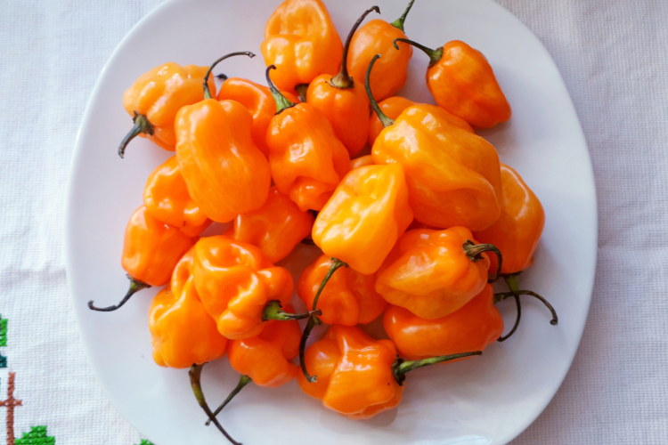 hot peppers are a food trend for 2023