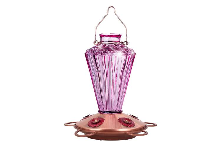 glass hummingbird feeder