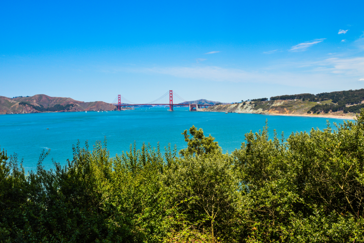 lands end trail view of the golden gate bridge