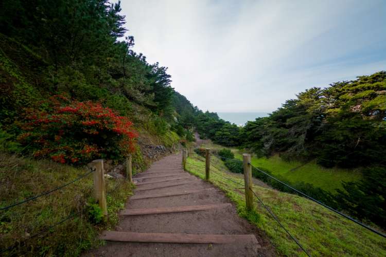 hike lands end trail for a fun date idea in san francisco