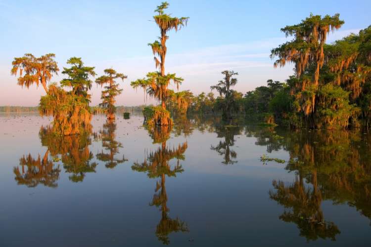 new orleans swamp tours are fun new orleans tours