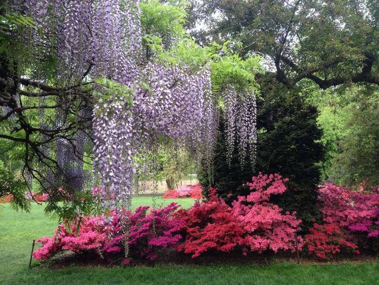 Take your date to the brooklyn botanic garden in NYC