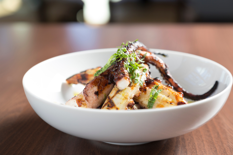 grilled octopus is a must for your foodie bucket list