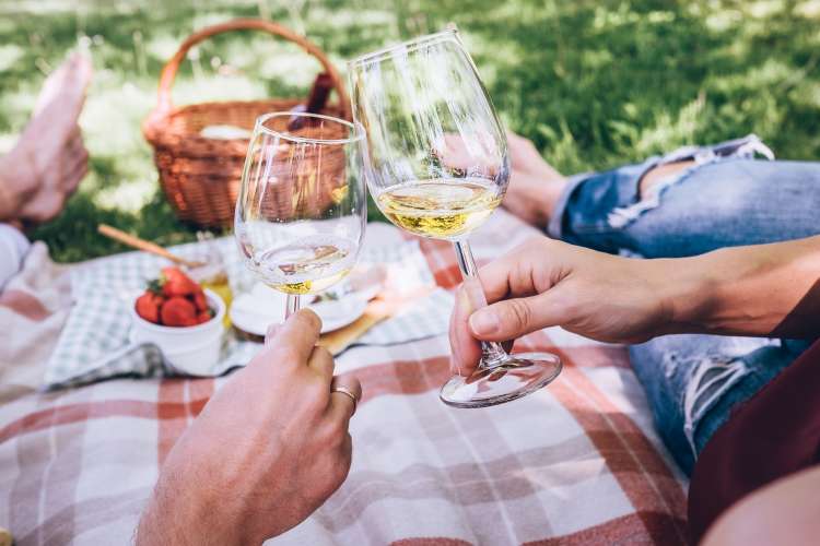 couple toasting wine glasses while enjoying a picnic