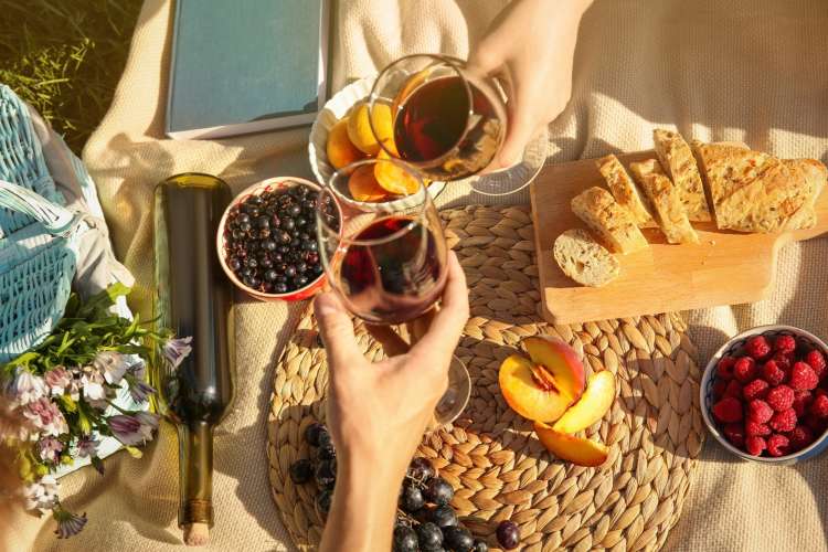 couple enjoying wine during a picnic