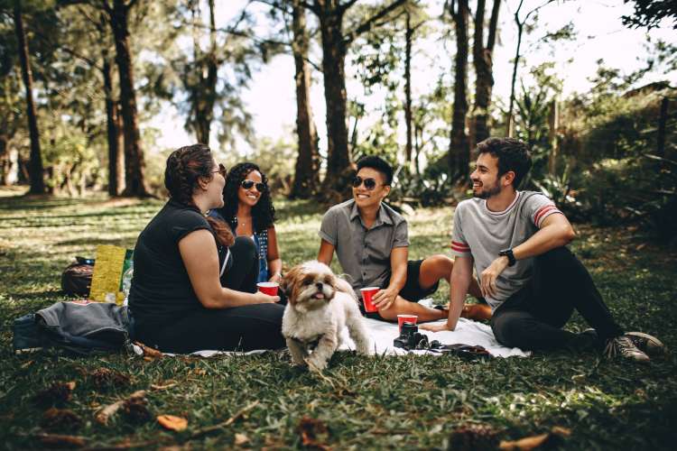 group of friends enjoying a picnic