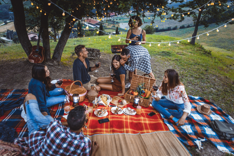 a picnic is a unique backyard engagememt party idea