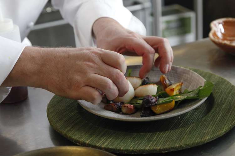 private chef plating scallops over vegetables