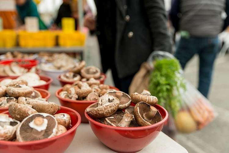 mushrooms are fall produce favorites