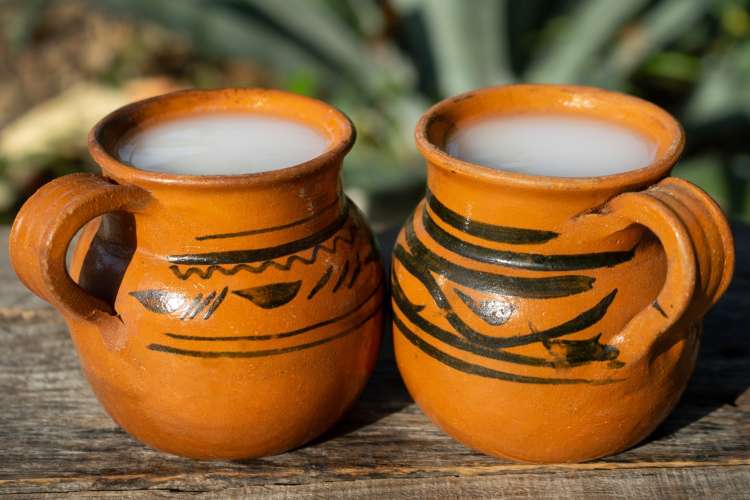 pulque is a common day of the dead beverage