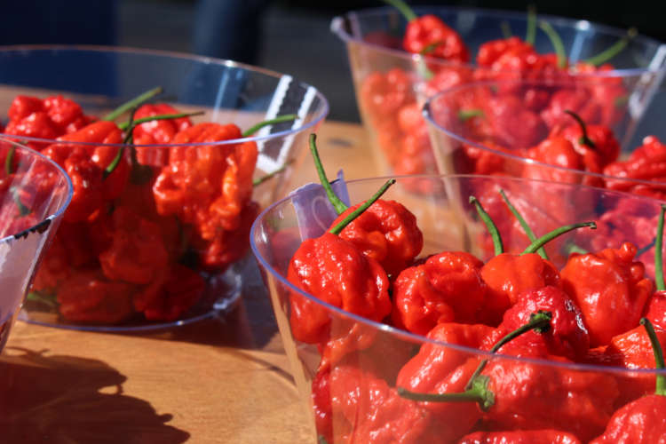 11 hot peppers and how to eat them