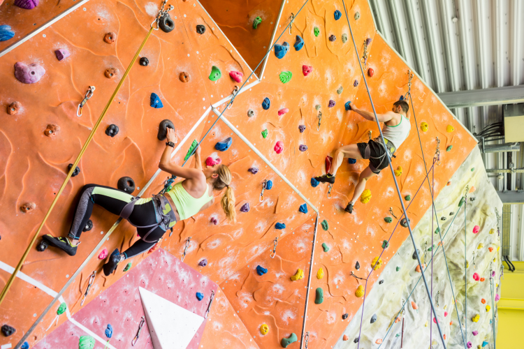 couple rock climbing in a rock climbing gym