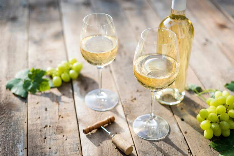 sauvignon blanc wine glasses