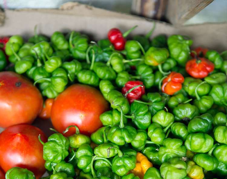 scotch bonnet peppers