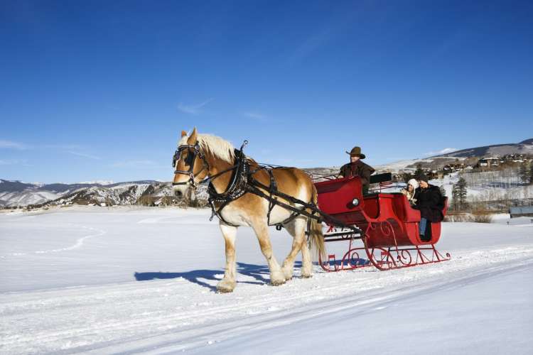 couple enjoying a romantic sleigh ride