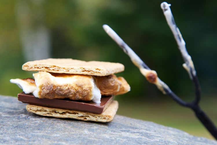 s'mores with graham cracker, chocolate and toasted marshmallow