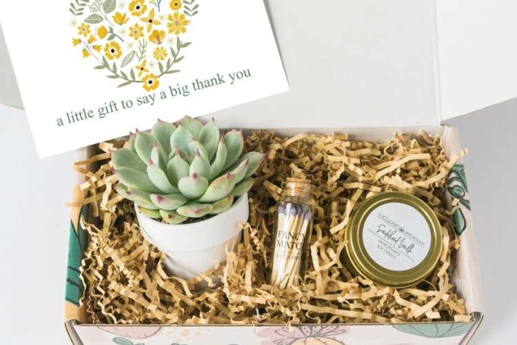 a succulent gift box is a cute bridesmaid gift idea