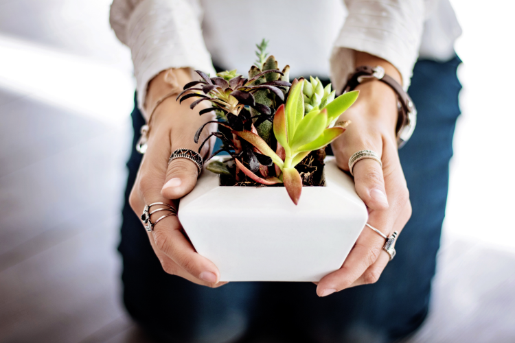 a succulent centerpiece is a fun engagement party idea