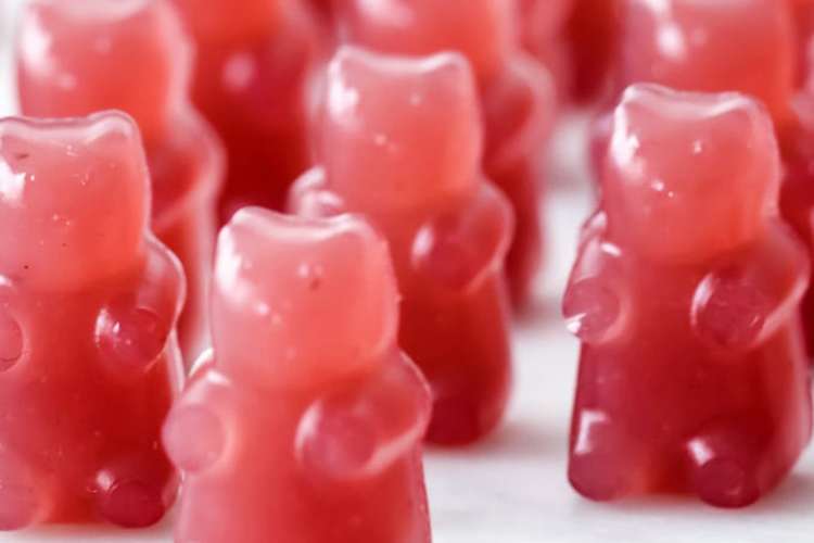 triple berry keto gummy bears are made with real fruit and no refined sugar