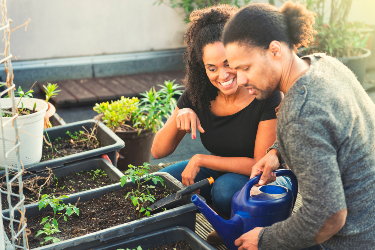 A couple growing vegetables on a city rooftop