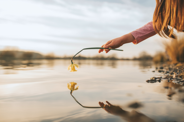 creative flower photography ideas
