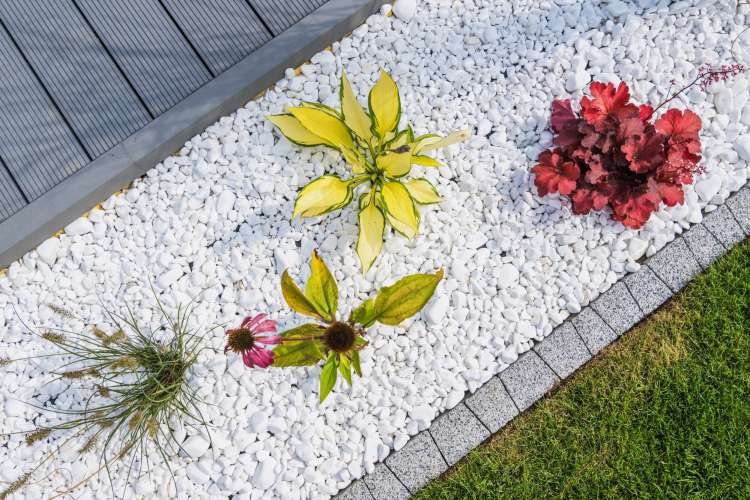 simple rock gardens images