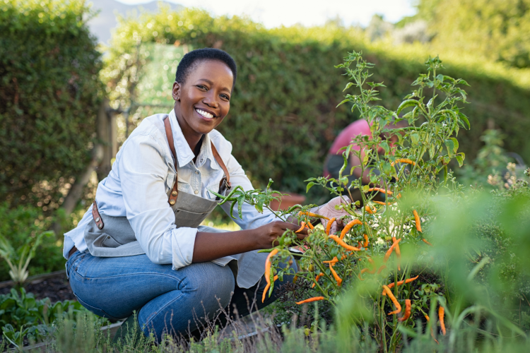 woman growing her own peppers