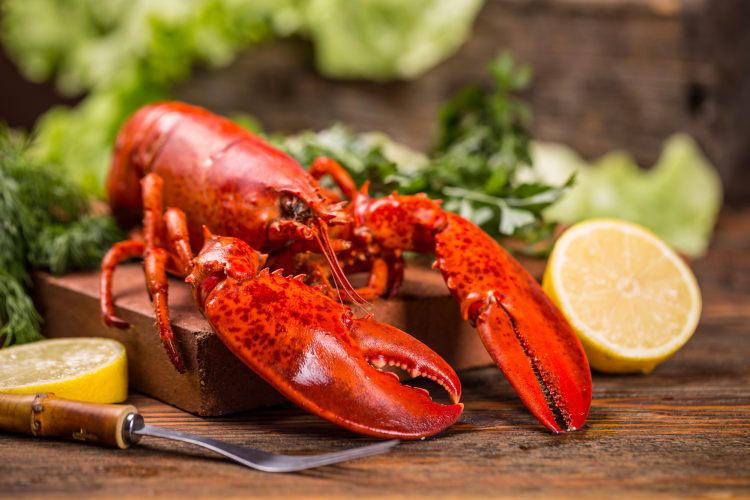 whole steamed lobster with lemon rounds