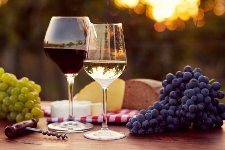 glasses of wine on an outdoor table with grapes and cheese