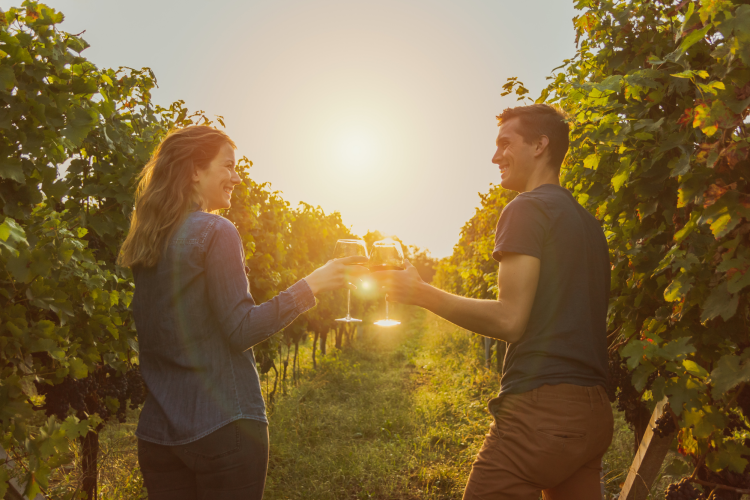 couple enjoying wine at a vineyard