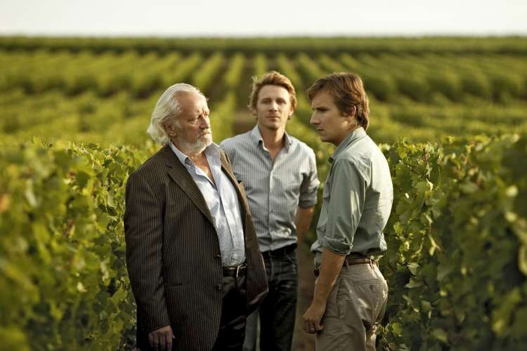 you will be my son is a great wine movie