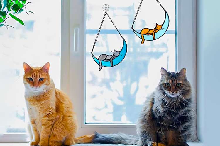 55 Best Gifts for Cat Lovers in 2023 - Unique Cat-Themed Gifts