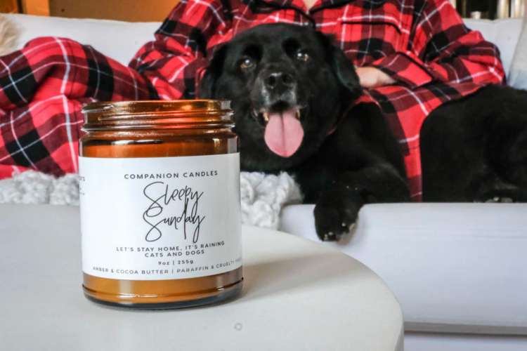 31 Thoughtful Gifts for Dog Parents