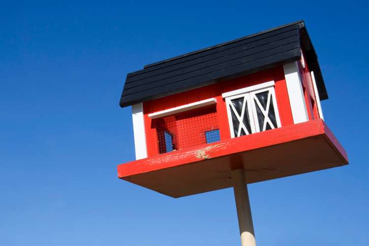 Birdhouse Painting Ideas 19 Best In 2025 Classpop Farm Birdhouse 64c3b44d992a5