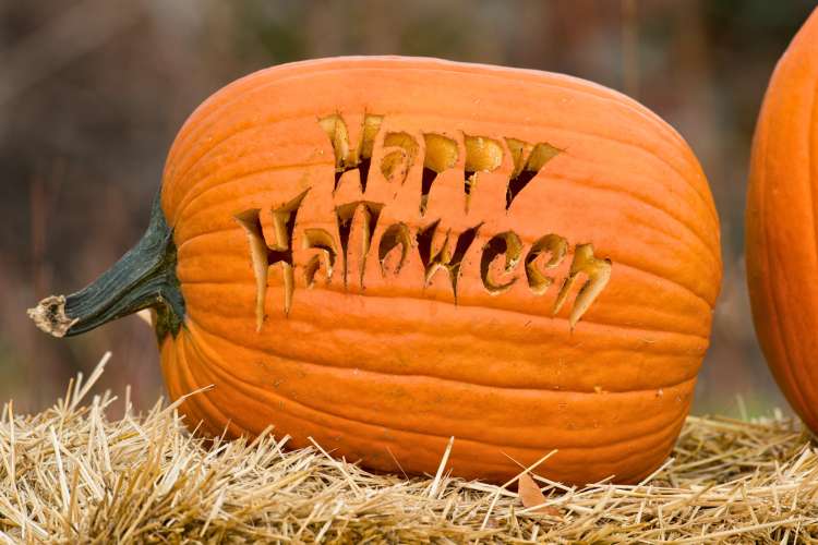 Pumpkin Carving Ideas | 101 Best in 2025 | Classpop!