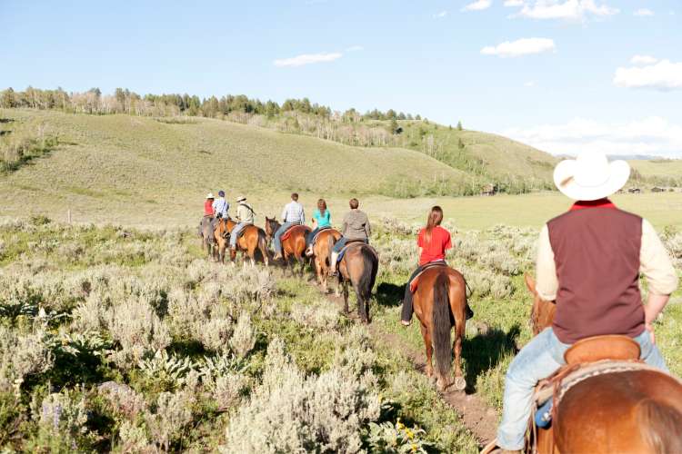 large group riding horses in the mountains