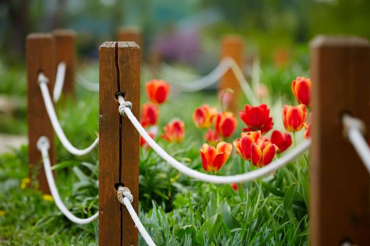 Garden Fence Ideas | Best in 2025 | Classpop!
