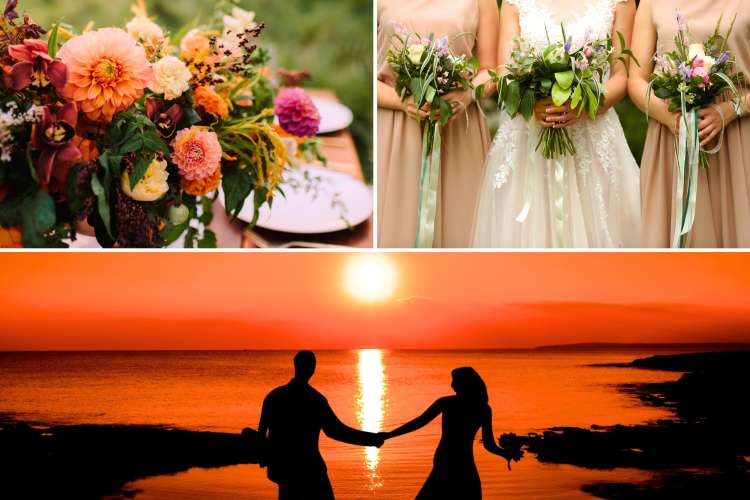 Summer Wedding Colors Beautiful Ideas for 2025 Classpop