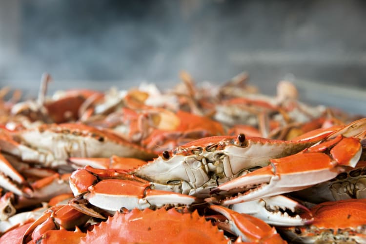 Maryland Seafood Festival, Annapolis, MD