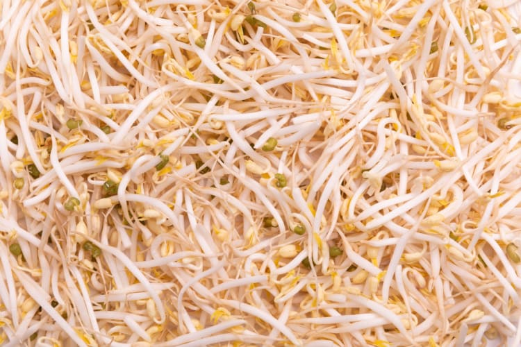 Bean sprouts  lightly stir fried are a satisfying Chinese food