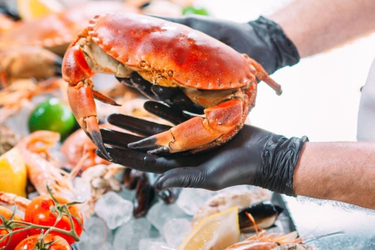 Florida Seafood Festival City, Apalachicola, FL