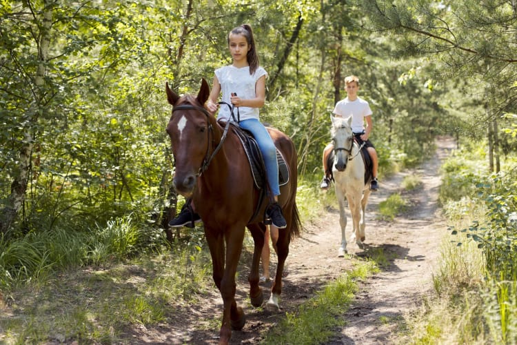 Two teenagers horseback riding in a park.