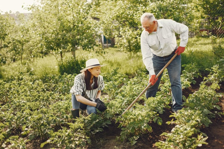 Fundraising activities can involve gardening or other community projects