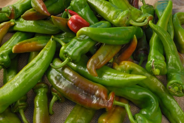 A bunch of green Anaheim peppers