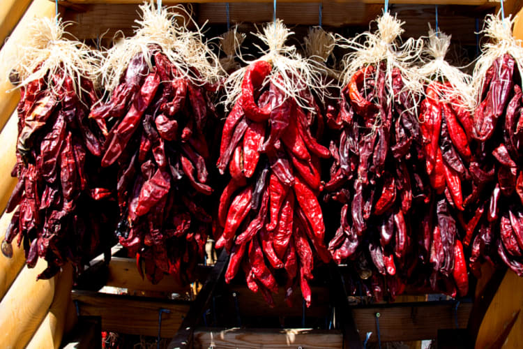 Red Anaheim peppers shown being dried in a bunch