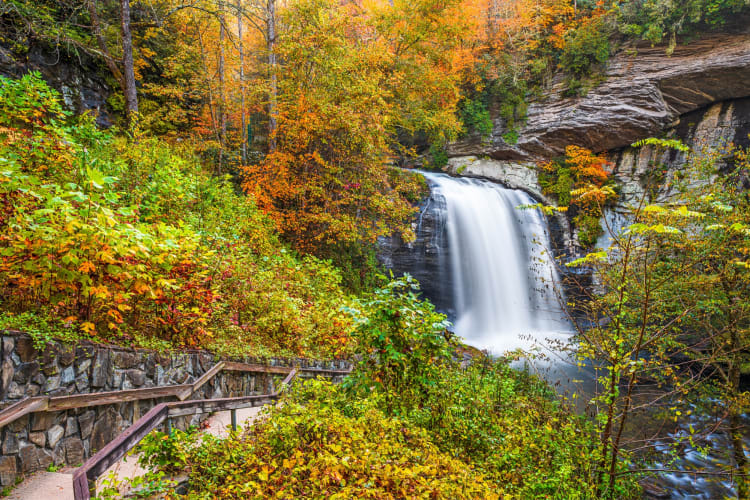 A waterfall surrounded by fall trees