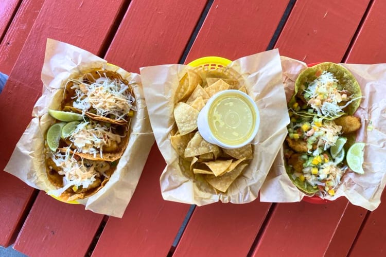 Fish tacos with cabbage and mango salsa, smoked cheddar and cilantro tomatillo, side of chips and cheese sauce.